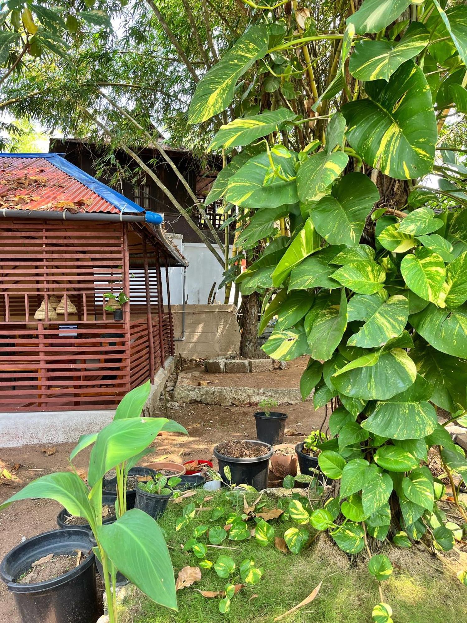Bava Beach Resort & Retreat Center 바르칼라 외부 사진