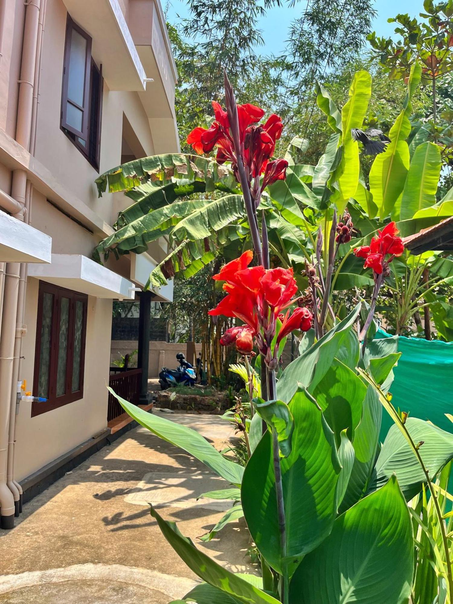 Bava Beach Resort & Retreat Center 바르칼라 외부 사진
